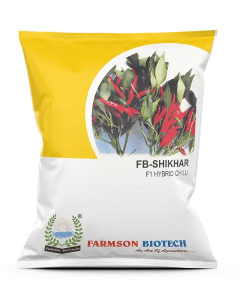 FSB-SHIKHAR F1 HYBRID CHILLI SEEDS (UPRIGHT)