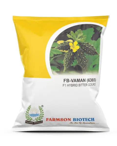FB-VAMAN (6365) F1 HYBRID BITTER GOURD SEEDS (SMALL SIZED OR CHOCOLATE TYPE) (25 Gm)