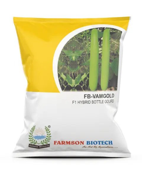 FB-VAMGOLD F1 HYBRID BOTTLE GOURD SEEDS (25 Gm)