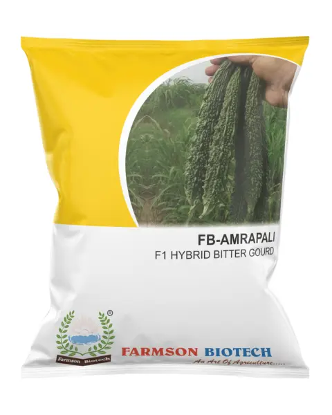 FB-AMRAPALI F1 HYBRID BITTER GOURD SEEDS (25 Gm)