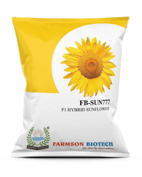 FB-SUN777 F1 HYBRID SUNFLOWER SEEDS (500 Gm)