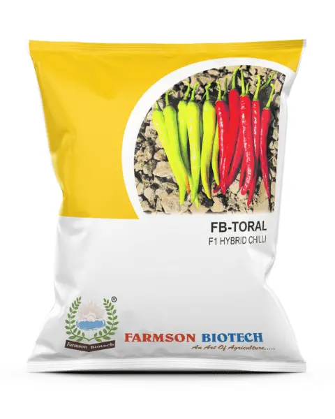 FB-TORAL F1 HYBRID CHILLI SEEDS (DUAL PURPOSE) (10 Gm)