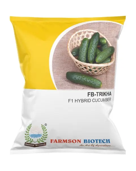 FB-TRIKHA F1 HYBRID CUCUMBER SEEDS (25 Gm)