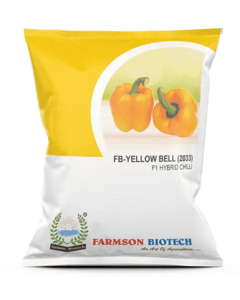 FB-YELLOW BELL (2033) F1 HYBRID SWEET PEPPER SEEDS (1000 Seeds)