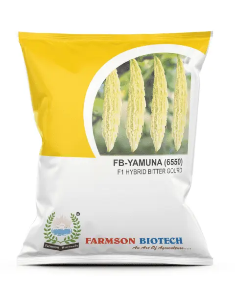FB-YAMUNA (6550) F1 HYBRID WHITE BITTER GOURD SEEDS (LONG)