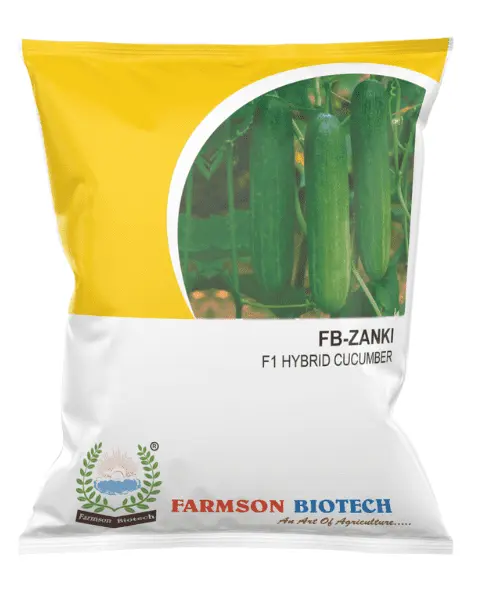 FB-ZANKI F1 HYBRID CUCUMBER SEEDS (25 Gm)