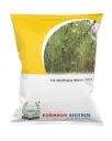 FB-ODC 3 HYBRID DRUM STICK (MORINGA) SEEDS