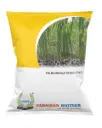 FB-PKM 2 DRUM STICK (MORINGA) SEEDS