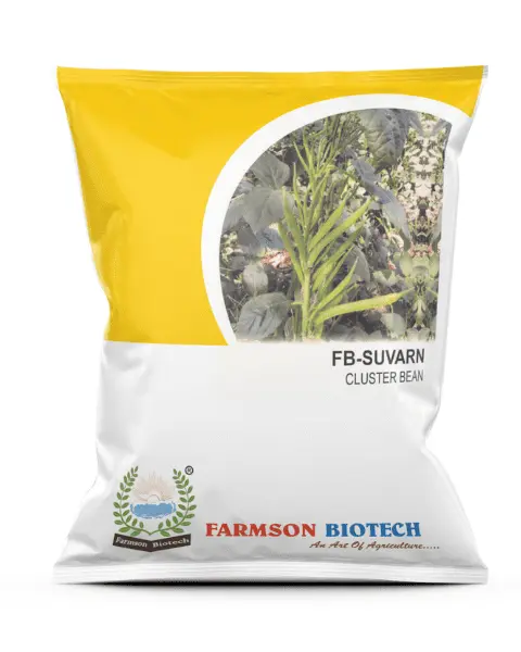 FB-SUVARN CLUSTERBEAN SEEDS (250 Gm)