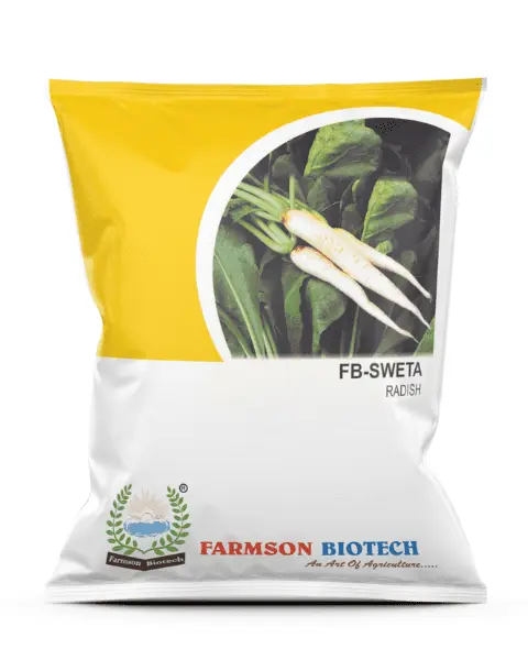 FB-SWETA RADISH SEEDS (100 Gm)
