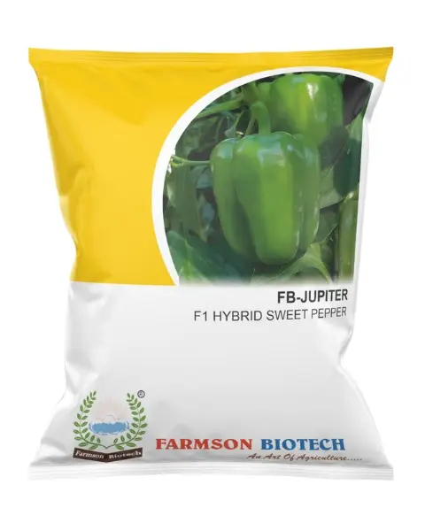FB-JUPITER F1 HYBRID SWEET PEPPER SEEDS