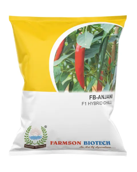 FB-ANJANI F1 HYBRID CHILLI SEEDS
