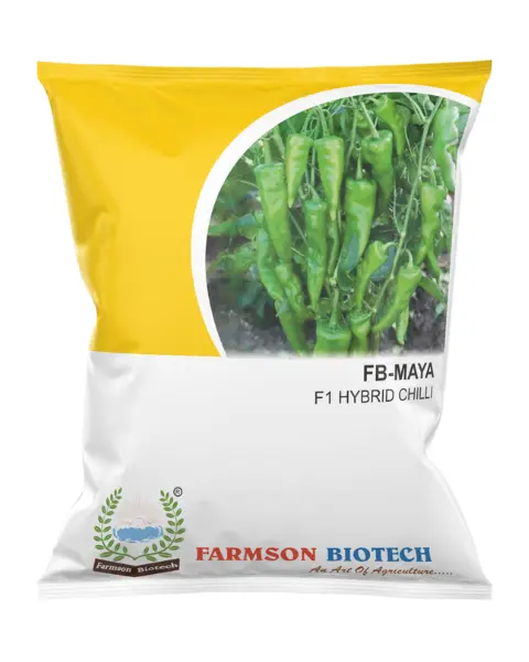 FB-MAYA F1 HYBRID CHILLI SEEDS (10 Gm)