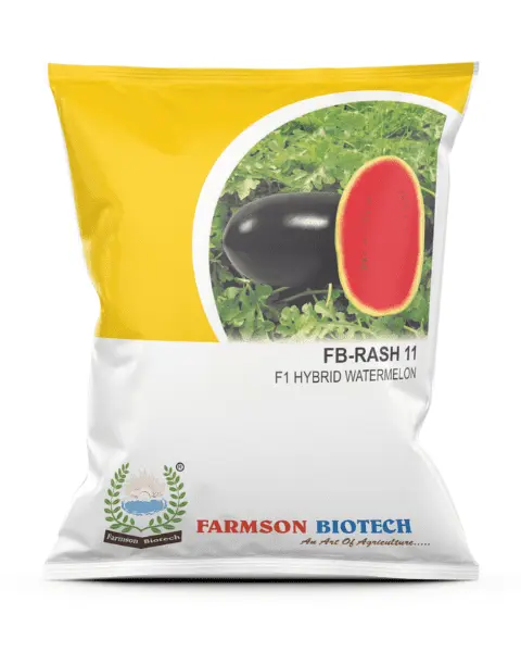 FSB-RASH11 F1 HYBRID WATERMELON SEEDS