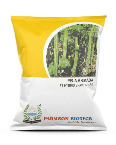 FB-NARMADA F1 HYBRID SNACK GOURD SEEDS