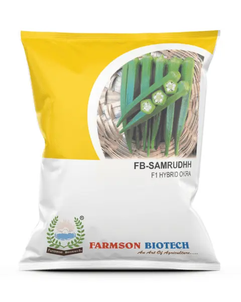 FB-SAMRUDDH F1 HYBRID OKRA SEEDS
