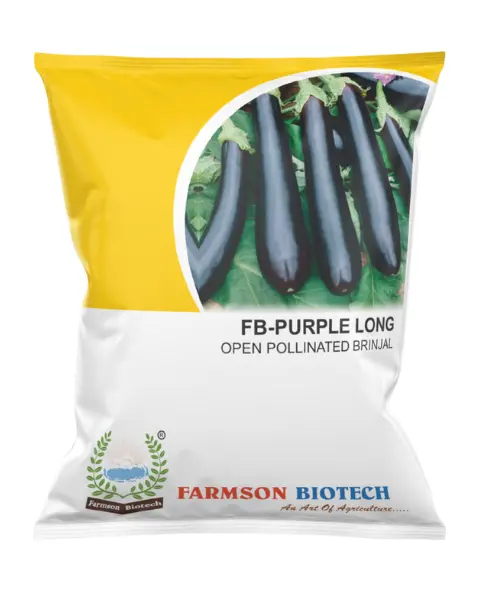 FB-EARLY LONG PURPLE (ELP) BRINJAL (EGGPLANT) SEEDS