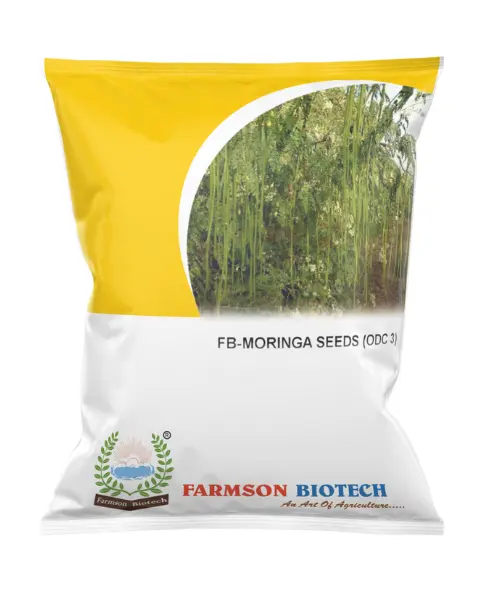 FB-ODC 3 DRUM STICK (MORINGA) SEEDS (500 Gm)