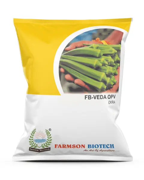 FB-VEDA OPV OKRA SEEDS (500 Gm)