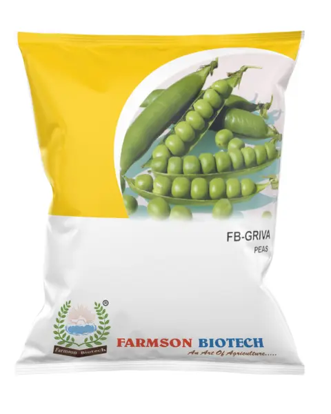 FB-GRIVA (GS-10) PEAS SEEDS (5 Kg)