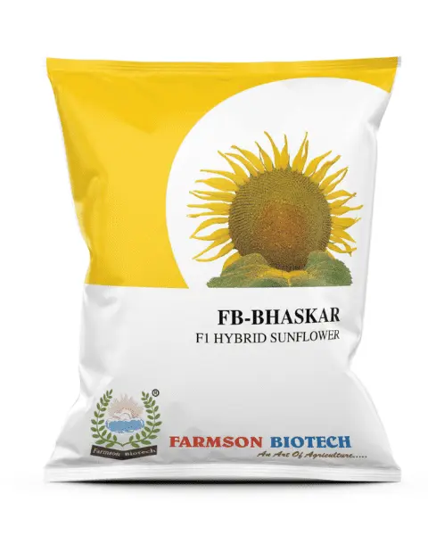 *FB-Bhaskar F1 Hybrid (Sunflower Seeds)