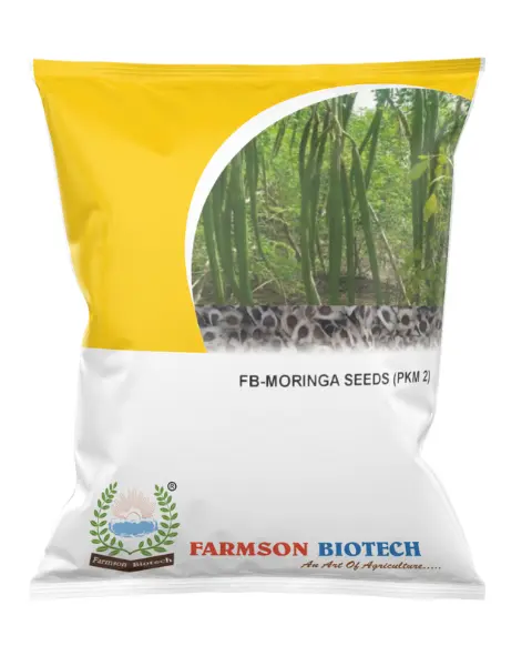 FB-PKM 2 DRUM STICK (MORINGA) SEEDS