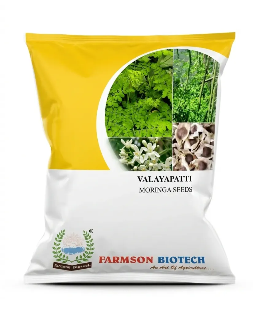 FB-VALAYAPATTI DRUM STICK MORINGA SEEDS