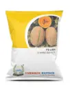 FB- LANA F1 HYBRID MUSKMELON SEEDS