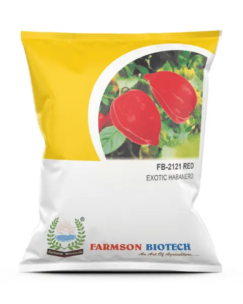 *FB-2121 Red Habanero Chilli Seed* (Very Hot)