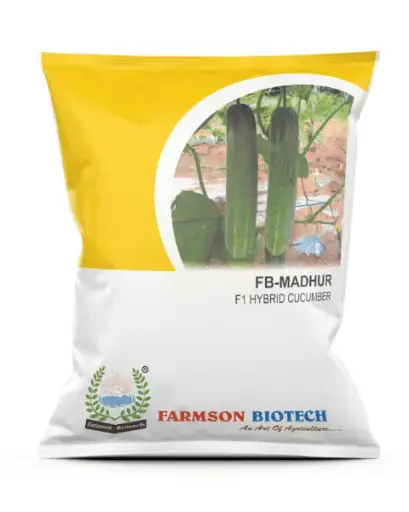 *FB-Madhur F1 Hybrid* (Cucumber Seed) (25 Gm)