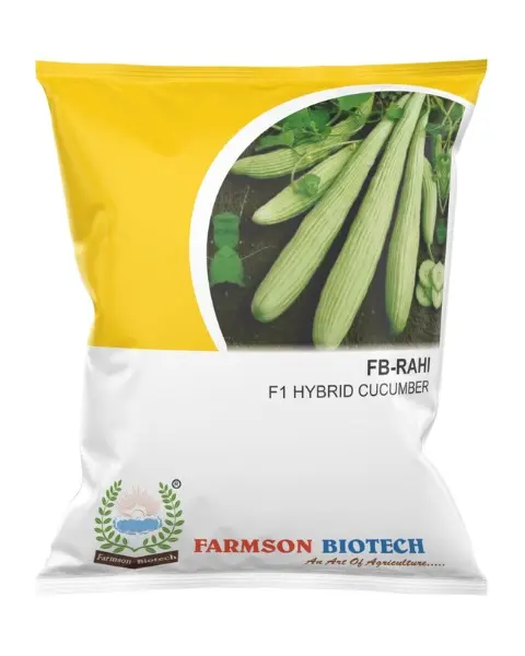 *FB-Rahi F1 Hybrid* (Cucumber Seed)