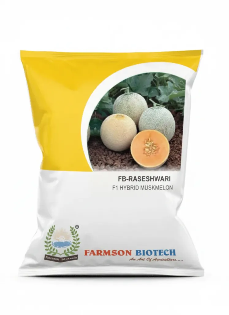 *FB-Raseshwari F1 Hybrid* (Muskmelon Seed)