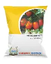 *FB-Rashraj F1* Hybrid Tomato
