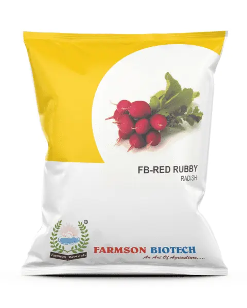 FB-RED RUBBY RADISH SEEDS