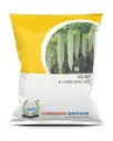 *FB-Tapi F1 Hybrid* (Snack Gourd Seed Short)