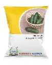 FB-TRIKHA F1 HYBRID CUCUMBER SEEDS