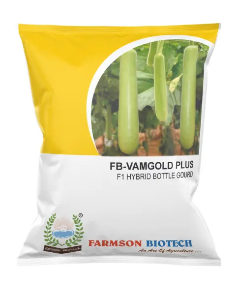 *FB-Vamgold Plus F1 Hybrid* Bottle Gourd Seed)