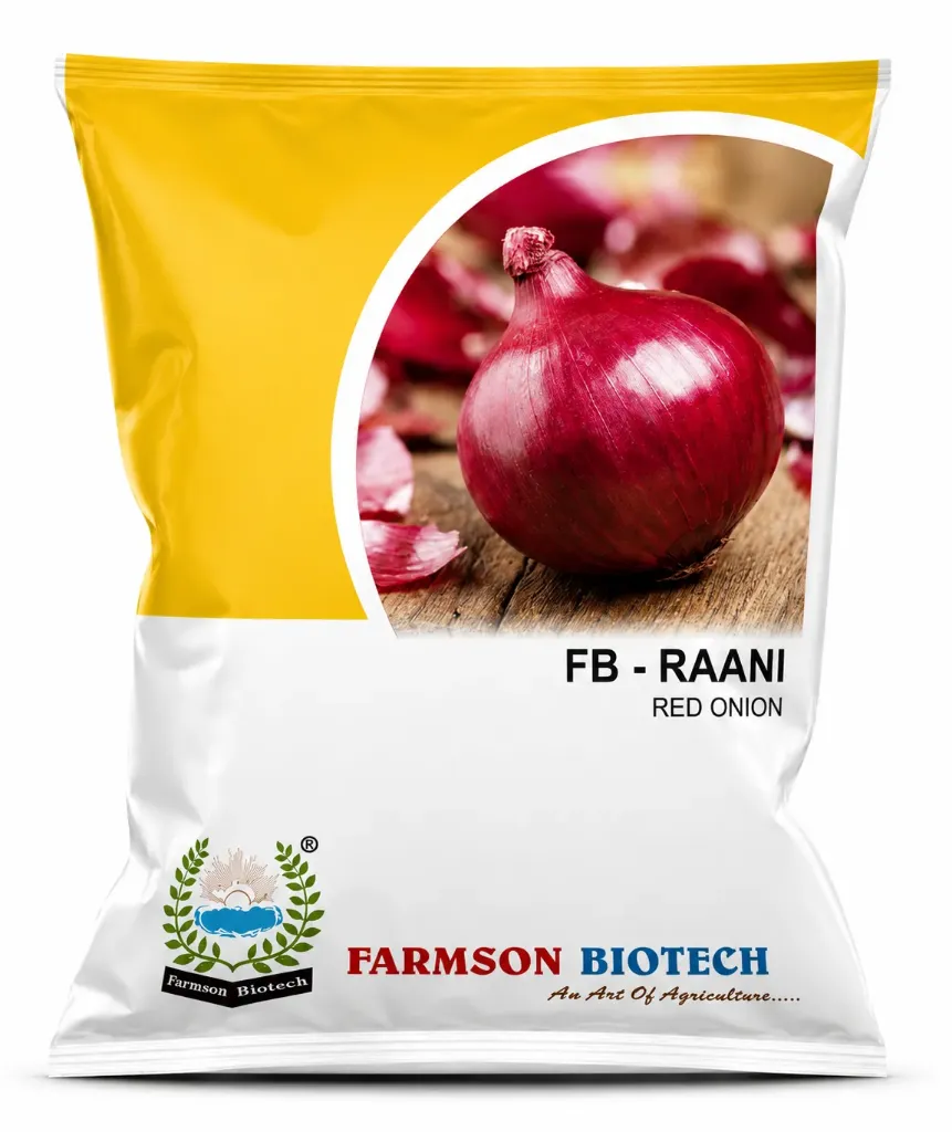 FB-RAANI ONION SEEDS (RED ONION)