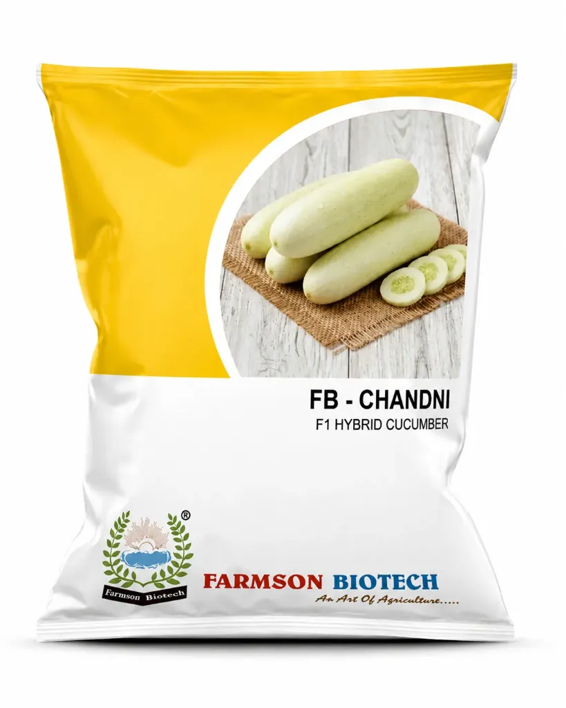 FB-CHANDNI F1
