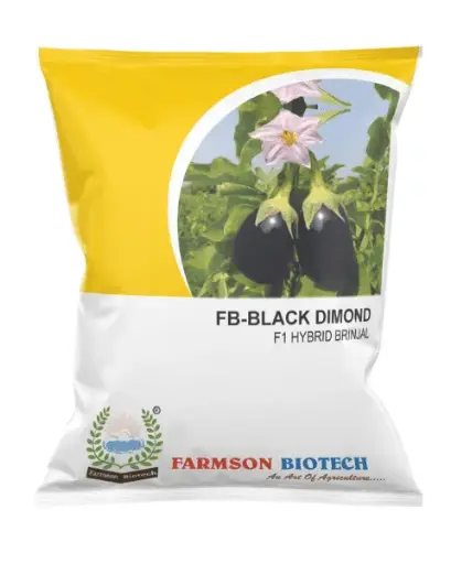 FB- BLACK DIMOND F1 HYBRID BRINJAL (EGGPLANT) SEEDS 