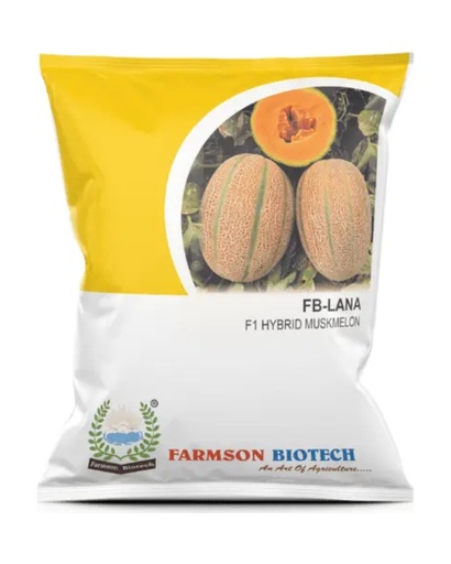 FB-LANA F1 HYBRID MUSKMELON SEEDS