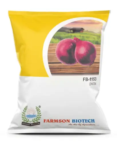 FB-1153 ONION SEEDS (DARK RED) 
