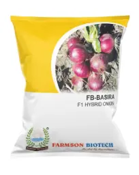 FB-BASIRA F1 HYBRID ONION SEEDS (DARK RED)