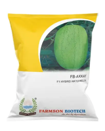 FB-AKKAY F1 HY WATERMELON SEEDS