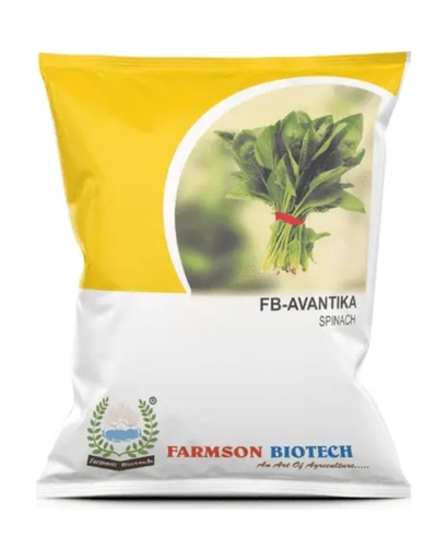 FB-AVANTIKA SPINACH SEEDS