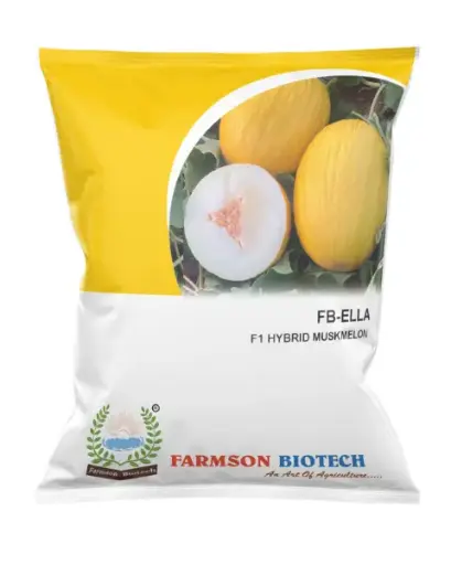 FB-ELLA F1 HYBRID MUSKMELON SEEDS 
