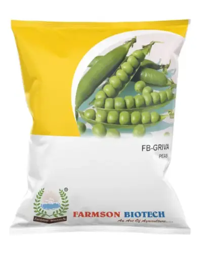 FB-GRIVA (GS-10) PEAS SEEDS
