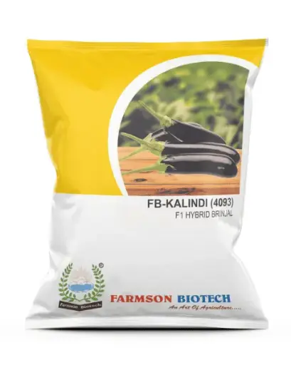 FB-KALINDI (4093) F1 HYBRID BRINJAL SEEDS