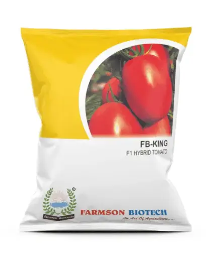 FB-KING F1 HYBRID TOMATO SEEDS
