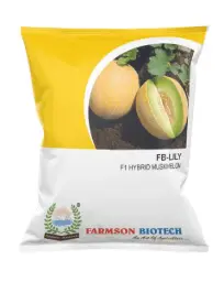 FB-LILY F1 HYBRID MUSKMELON SEEDS